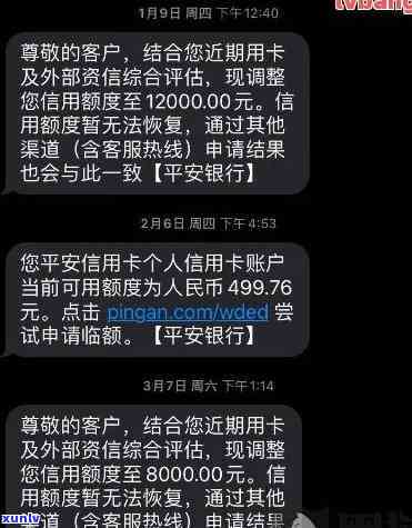 探究古树普洱茶中老班章的独特魅力与益处