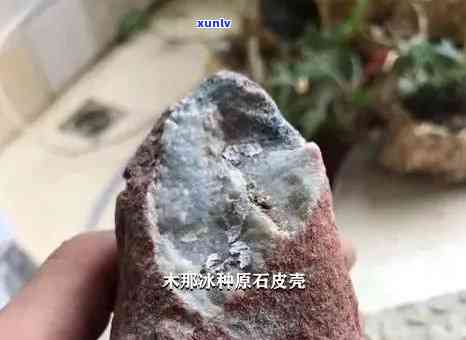 域邦普洱茶生产厂家地址、联系方式及产品质量全面解析