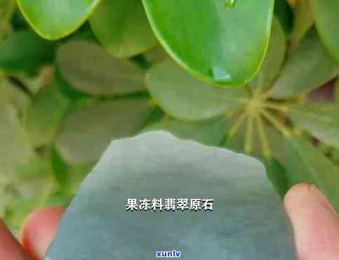 益马茶叶新会小青柑普洱茶：独特口感与健功效的完美结合