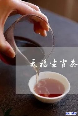 天福生肖茶系列价格全览：详细表格与图片一网打尽