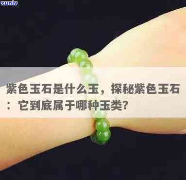 南非紫玉是什么，探秘南非紫玉：这是一种什么样的宝石？