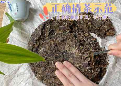 茶饼怎样才能一砸碎-茶饼怎样才能一砸碎就碎了