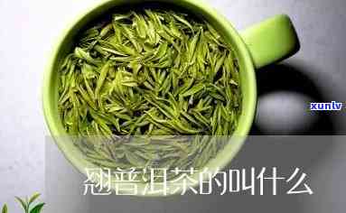 新 '深度探究普洱茶 *** 过程：晒茶环节的重要性与技巧'