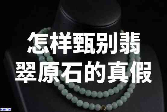 全面了解老班章茶：口感、功效、泡法等，看看是否适合你的口味？