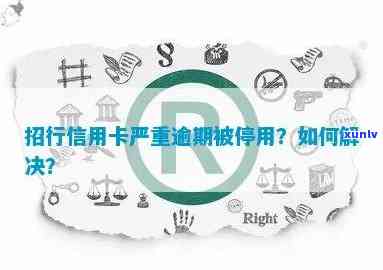 上等玉镯图片冰糯种：了解什么是真正的上等玉镯的样子