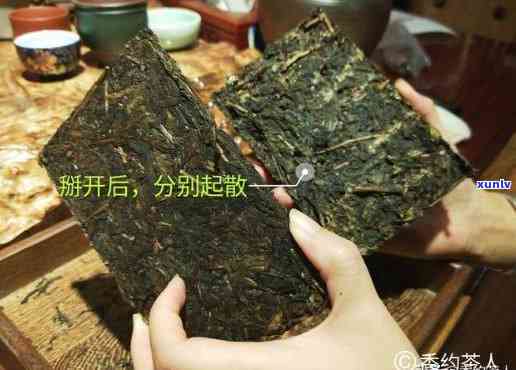 怎样把茶砖完整打开呢？视频教程与图片步骤全解析