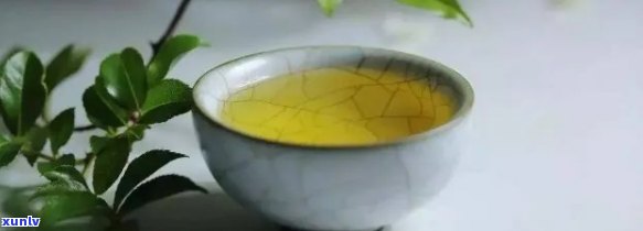 冬天用什么杯子泡茶叶喝好，冬泡茶，选对杯子才健！