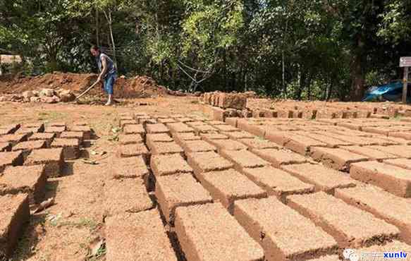 用10万块茶砖建成-用10万块茶砖建成的房子