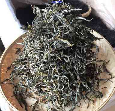 安化黑毛茶，探索湖南特色：品味安化黑毛茶的浓风味