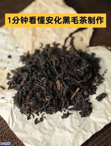 探究安化黑毛茶的多重功效与作用