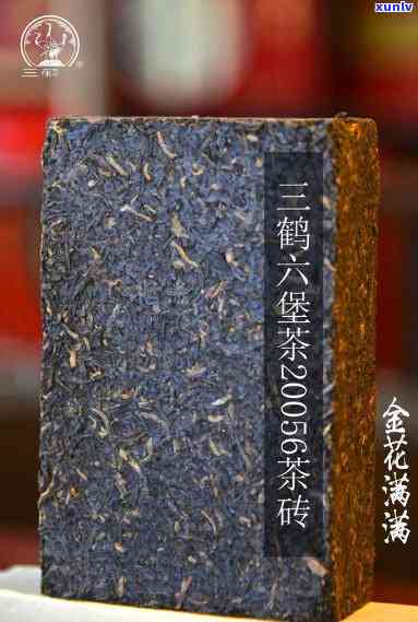 7569茶砖，品味历的韵味：探索7569茶砖的魅力