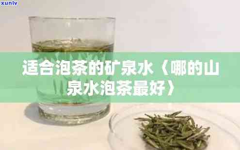 99年一棵古树普洱茶的价值和市场行情分析