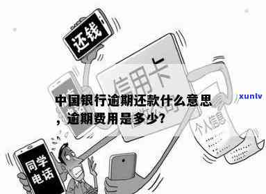 普洱茶如何防潮防霉？探讨解决 *** 与影响因素