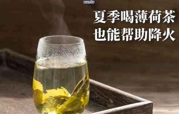 冰岛龙柱生茶的功效-冰岛普洱茶龙柱