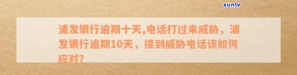 天福普洱七子饼子-天福普洱七子饼2007