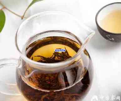 咽喉炎泡茶方案：什么茶最有效？