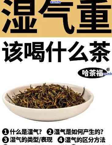 泡茶去湿气的食物有哪些？全面解析