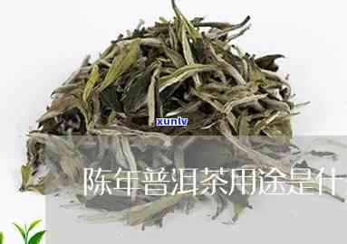 十年陈茶有什么功效-十年陈茶叶的功效与作用