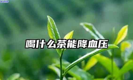 用什么泡茶降压，什么茶叶最适合降低血压？