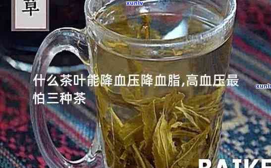 用什么泡茶能降血压高，降低高血压，你该喝什么茶？