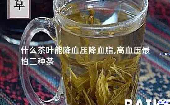 什么茶降血压效果比较好，揭秘：哪种茶叶对降低血压最有效？