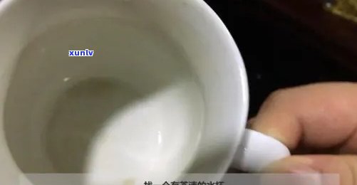 如何清洗白瓷杯泡茶？详细步骤让你的杯子焕然一新！