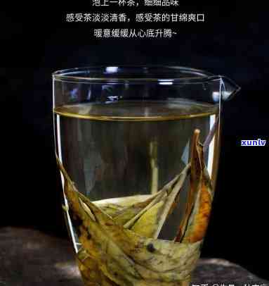 泡茶喝的长的像棍子一样，探索茶叶世界：介绍一种长得像棍子一样的泡茶材料