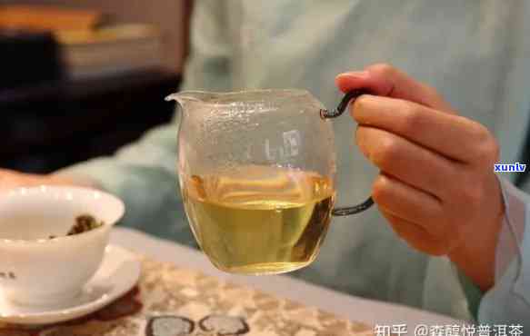 泡茶投茶量多少适宜喝，适量投茶，泡出好茶味——泡茶投茶量的正确选择