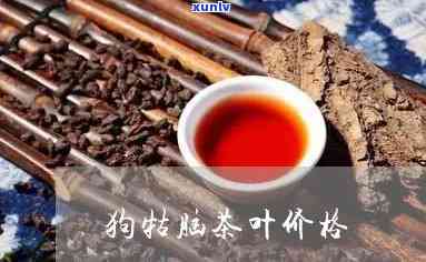 狗记茶有什么好处？详解其功效与作用