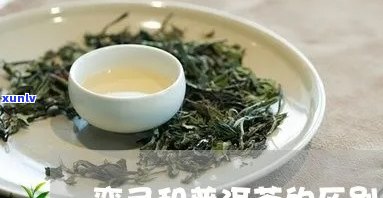 翡翠算盘珠的价格、品质以及选购指南