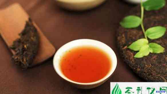 益木堂莽枝茶怎么样-益木堂莽枝茶怎么样好喝吗