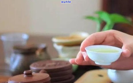 之一次泡茶泡几分-之一次泡茶泡几分