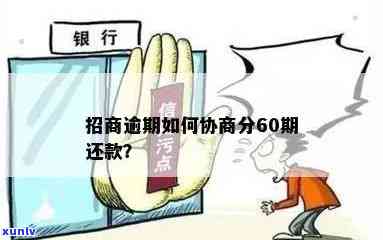 招商逾期怎么协商分60期？详解协商步骤与技巧