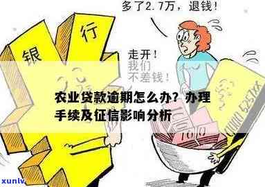 农业贷款逾期了-农业贷款逾期了怎么办