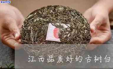 江西茶饼哪个牌子好-江西茶饼哪个牌子好喝