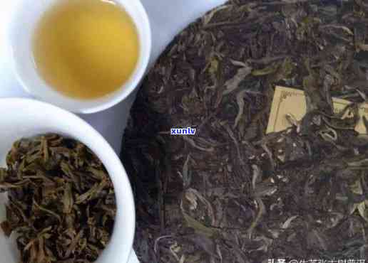 茶饼是不是越久越好，茶饼的保质期：是否越久越好？