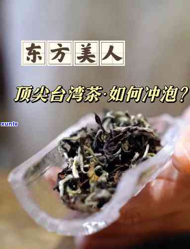 东方美人茶泡茶步骤-东方美人茶泡茶步骤图