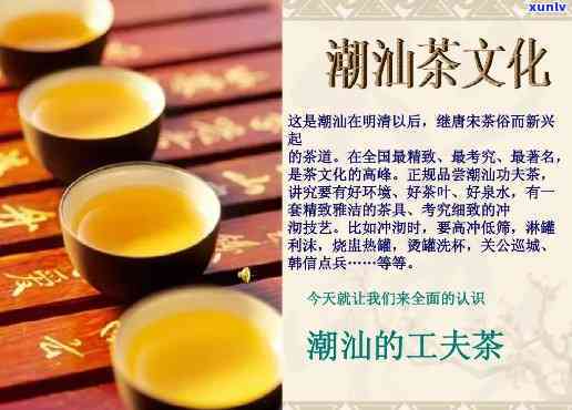 潮汕工夫茶：一般使用何种茶叶？