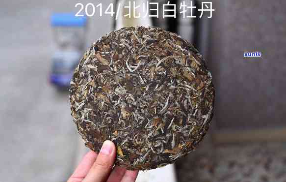 白牡丹茶饼的泡法完全解析与视频教程