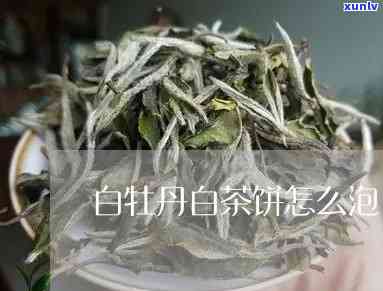 白牡丹茶饼的泡法完全解析与视频教程