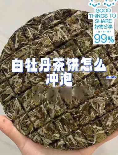 白牡丹茶饼的泡法完全解析与视频教程