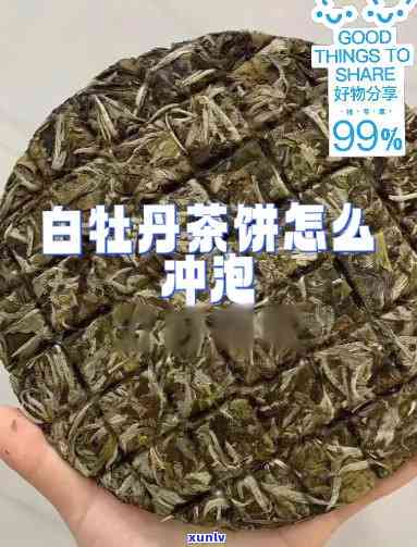 白牡丹茶饼冲泡技巧：如何冲泡出喝的白牡丹茶饼？