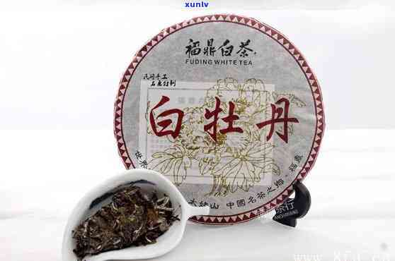 白牡丹茶饼冲泡技巧：如何冲泡出喝的白牡丹茶饼？