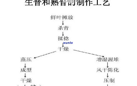 朝饼茶制茶工序排序，探秘代饼茶 *** ：工序排序全解析