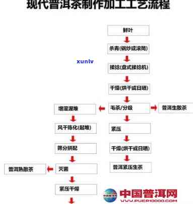 朝饼茶制茶工序排序，探秘代饼茶 *** ：工序排序全解析