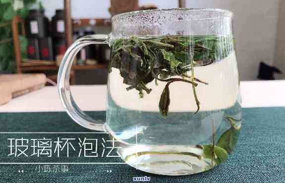 玻璃杯泡茶  步骤图，「超详细教程」玻璃杯泡茶  步骤图，让你轻松掌握茶叶的美味