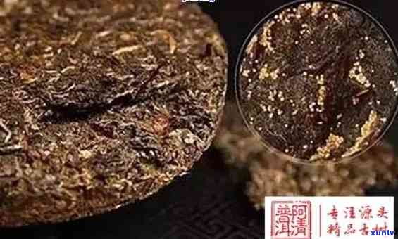 茶饼里面有很多黄点是什么，茶叶中的黄点是什么？揭开茶饼里的神秘面纱