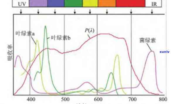 吸收光谱翡翠的原理：解析其吸收特定波长光线的机制