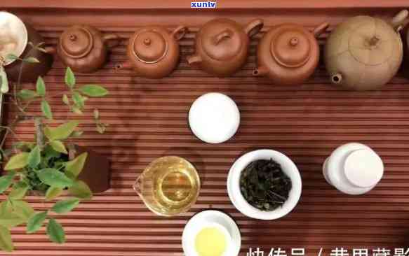 为什么那么多人喝茶？探究茶文化魅力与吸引力