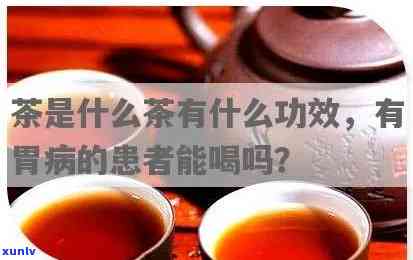 胃病患者饮茶：了解为何不能饮用茶叶及其相关饮品